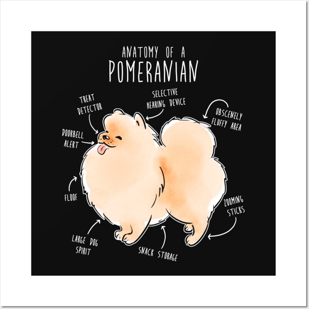 Pomeranian Anatomy Wall Art by Psitta